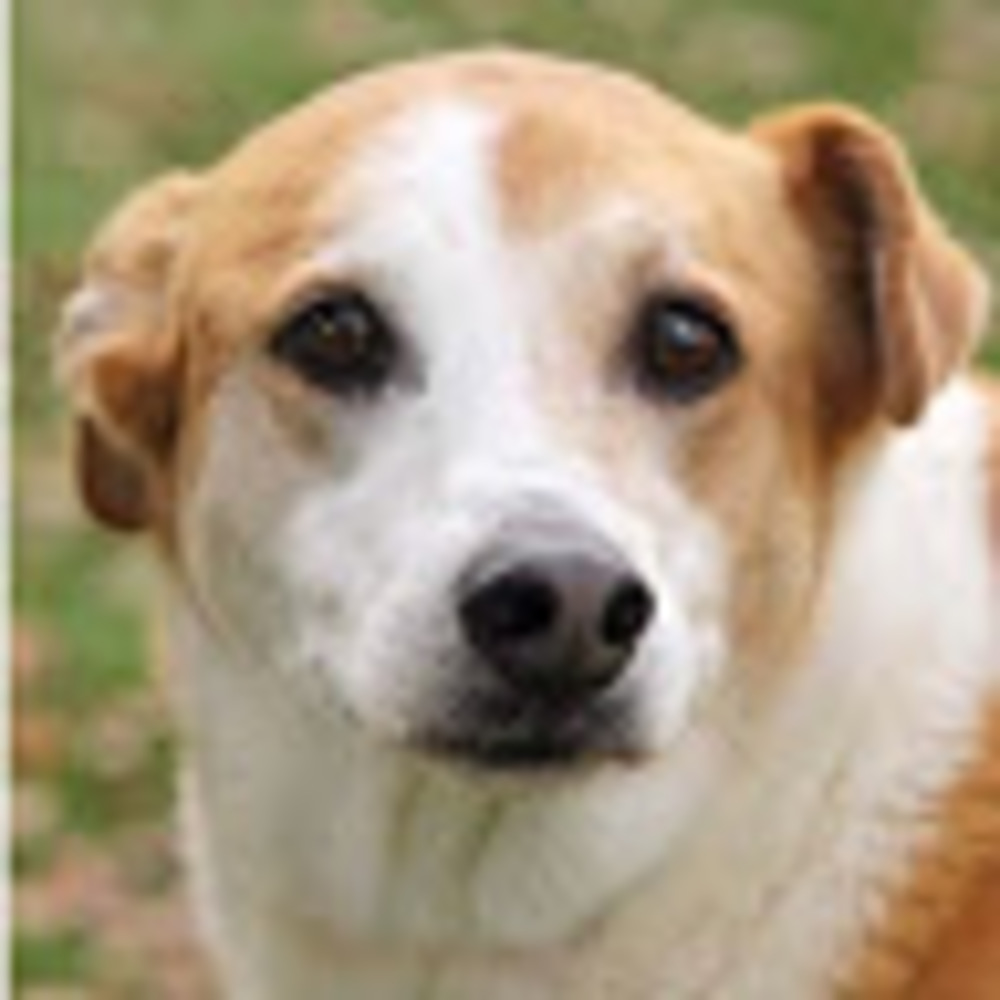 Meet your Posher, Manda